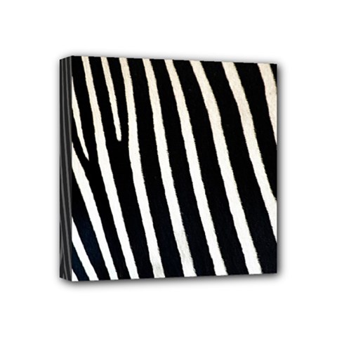 Zebra Print	 Mini Canvas 4  x 4  (Stretched) from ArtsNow.com