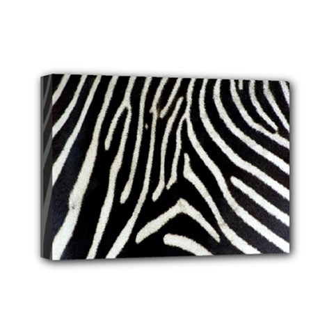 Zebra Print Big	Mini Canvas 7  x 5  (Stretched) from ArtsNow.com