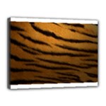 Tiger Print Dark	Canvas 16  x 12  (Stretched)