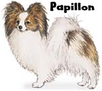 PAPILLON