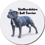 STAFFORDSHIRE BULL TERRIER