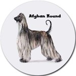 AFGHAN HOUND