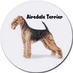 AIREDALE TERRIER