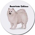 AMERICAN ESKIMO