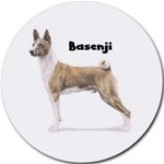 BASENJI