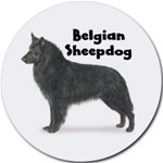 BELGIAN SHEEPDOG