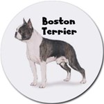 BOSTON TERRIER