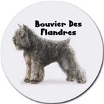 BOUVIER DES FLANDRES