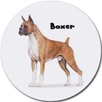 BOXER