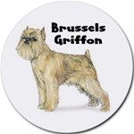 BRUSSELS GRIFFON