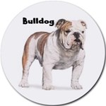 BULLDOG