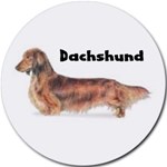 DACHSHUND LONG HAIRED