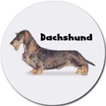 DACHSHUND WIREHAIRED