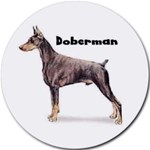 DOBERMAN PINSCHER