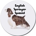 ENGLISH SPRINGER SPANIEL