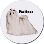 MALTESE