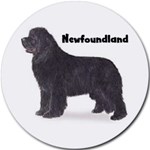 NEWFOUNDLAND