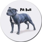 PIT BULL