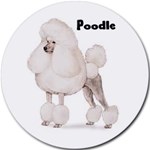 POODLE