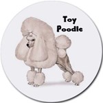 POODLE TOY