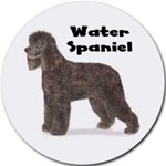 WATER SPANIEL