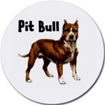 PIT BULL