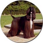 AFGHAN HOUND BLACK