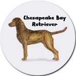 CHESAPEAKE BAY RETRIEVER