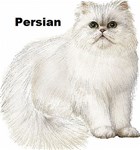 PERSIAN 2