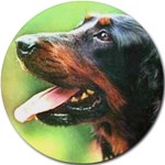 GORDON SETTER