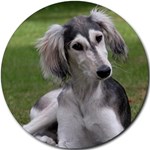 SALUKI 