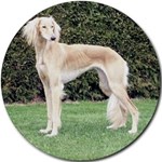 SALUKI 