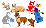 Domestic Animals