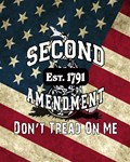 Gadsden Flag Don t Tread on Me 2nd Amendment