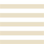 Horizontal Stripes - White and Pearl Brown