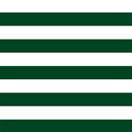 Horizontal Stripes - White and Forest Green