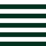 Horizontal Stripes - White and Deep Green