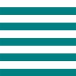 Horizontal Stripes - White and Teal