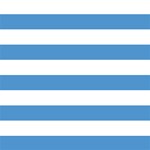 Horizontal Stripes - White and Steel Blue