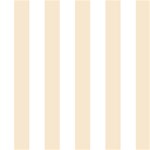 Vertical Stripes - White and Champagne Orange