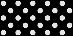 224 polka dots platinum gray on black 2400x1200