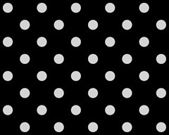 230 polka dots light gray on black 3000x2400