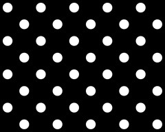 238 polka dots white on black 3000x2400