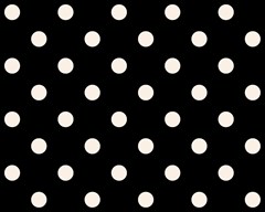 244 polka dots linen on black 3000x2400