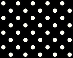 246 polka dots ivory on black 3000x2400