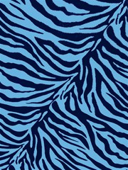 zebra