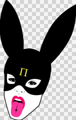 bunny girl mask