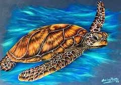 sea turtle