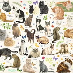 cats all collage cat