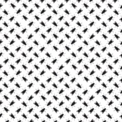 fly phot motif seamless black and white pattern copia